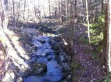 View Up-Stream