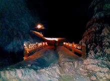bridge with lights