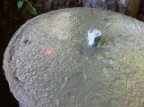 Laser Marking