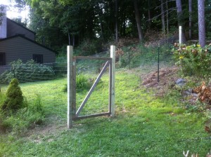 Extended Dog Fence