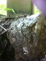 Crumbling Cement